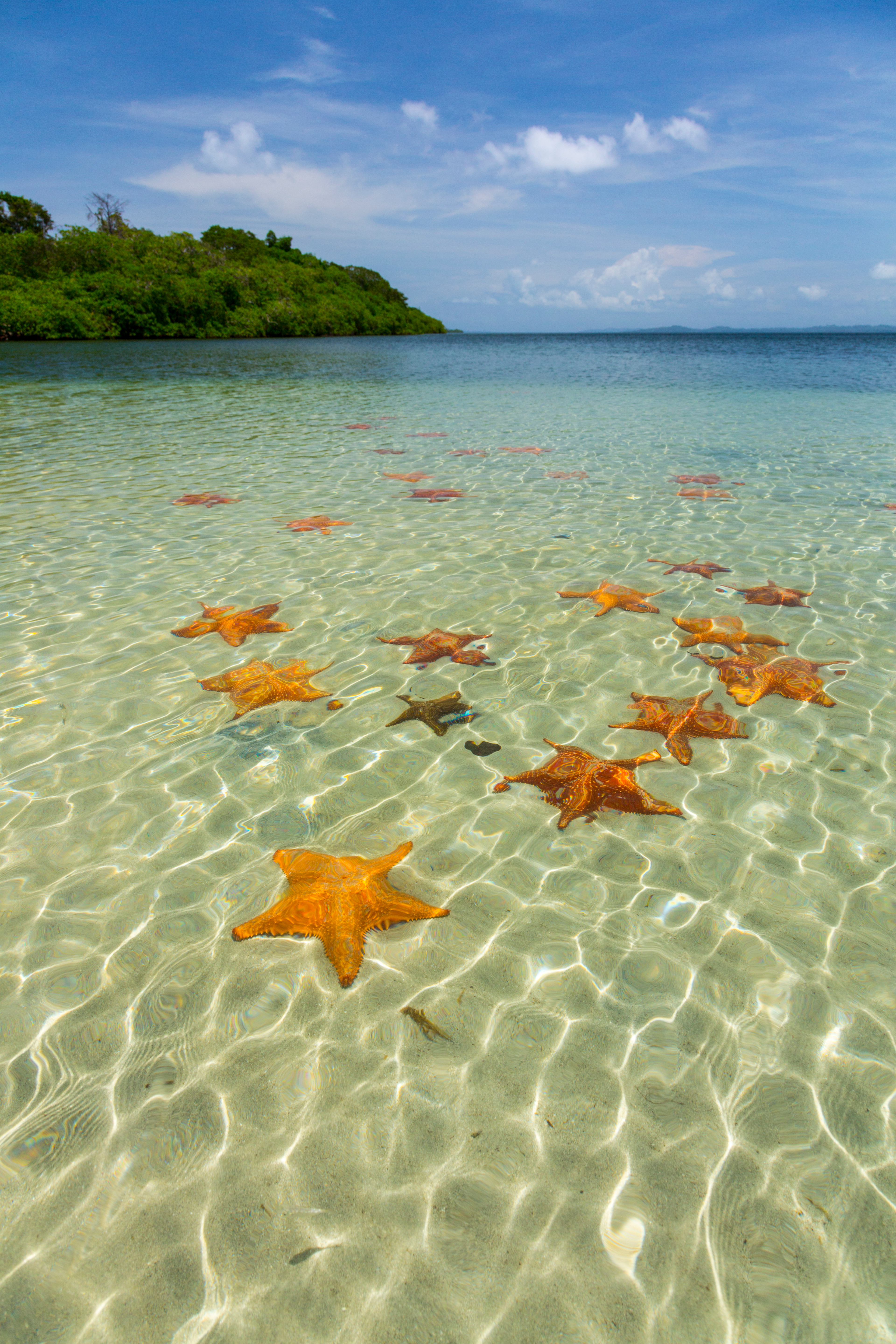 Perfect Climate Panama
